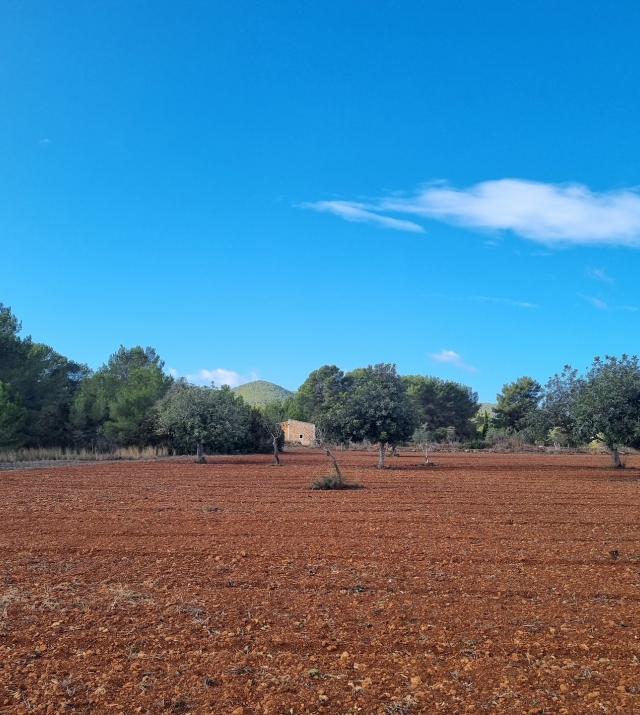 Resa Estates plots santa Gertrudis Ibiza for sale te koop 5 .jpg